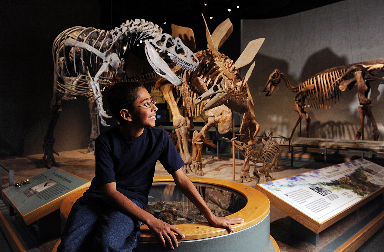Mountains, Moose and Museums: STEM in Colorado