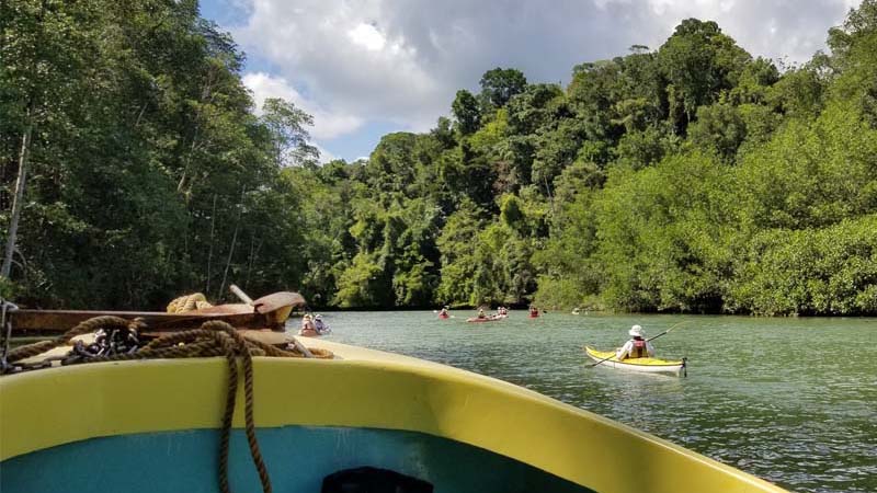 Osa Peninsula Rainforest Discovery Tour Kayaking