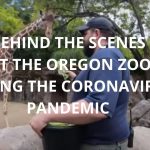 Virtually Visit These West Coast Zoos and Science Centers