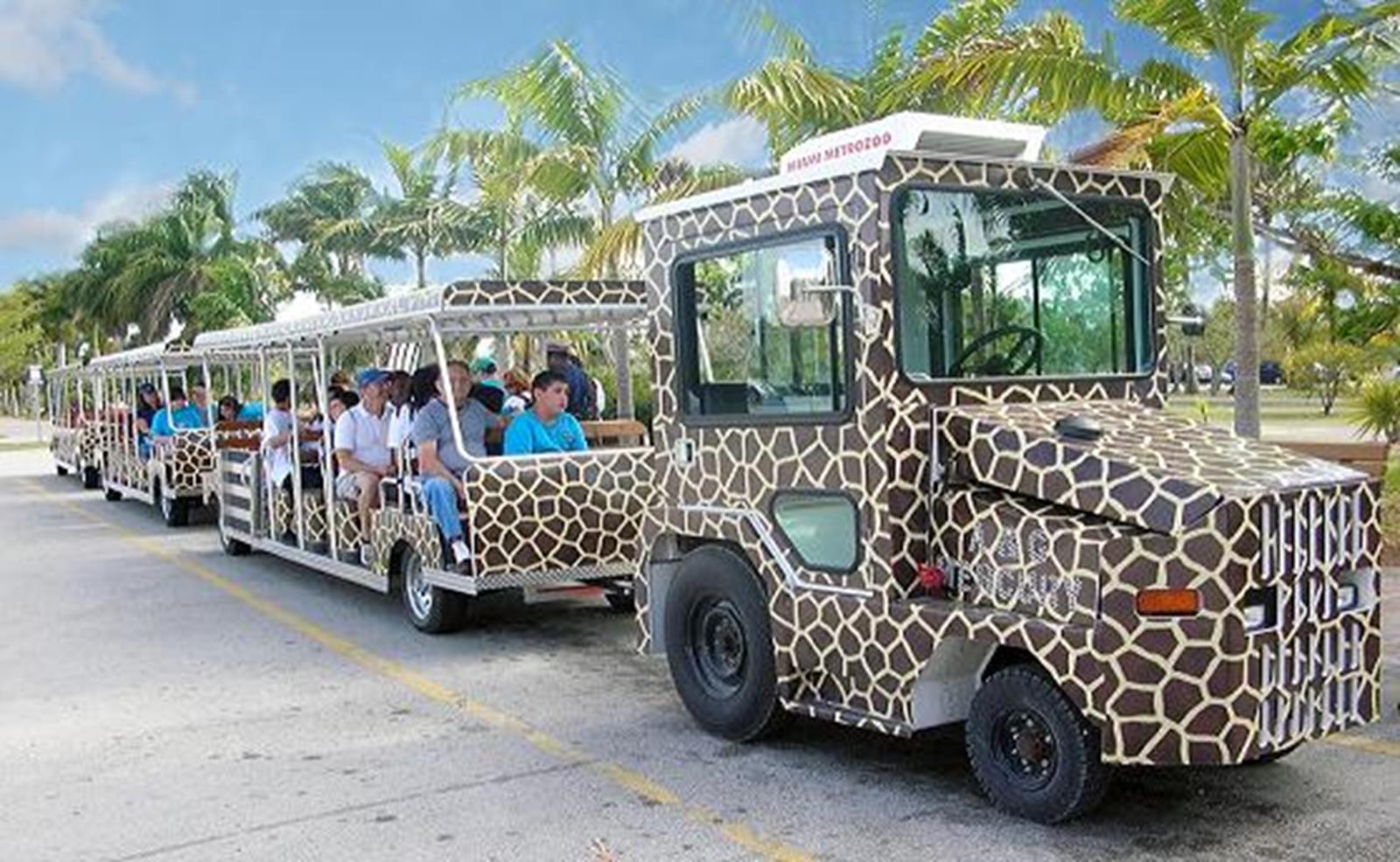 florida safari tram tour