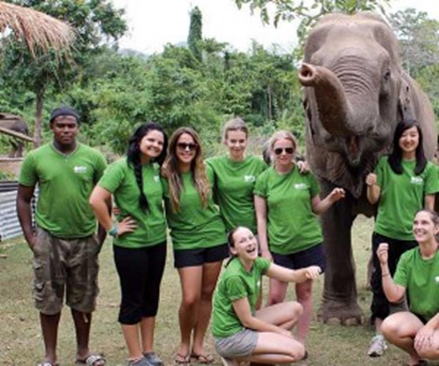 In Thailand, International Student Volunteers (ISV) supports a sanctuary for elephants that have been rescued from the tourism and logging industries.