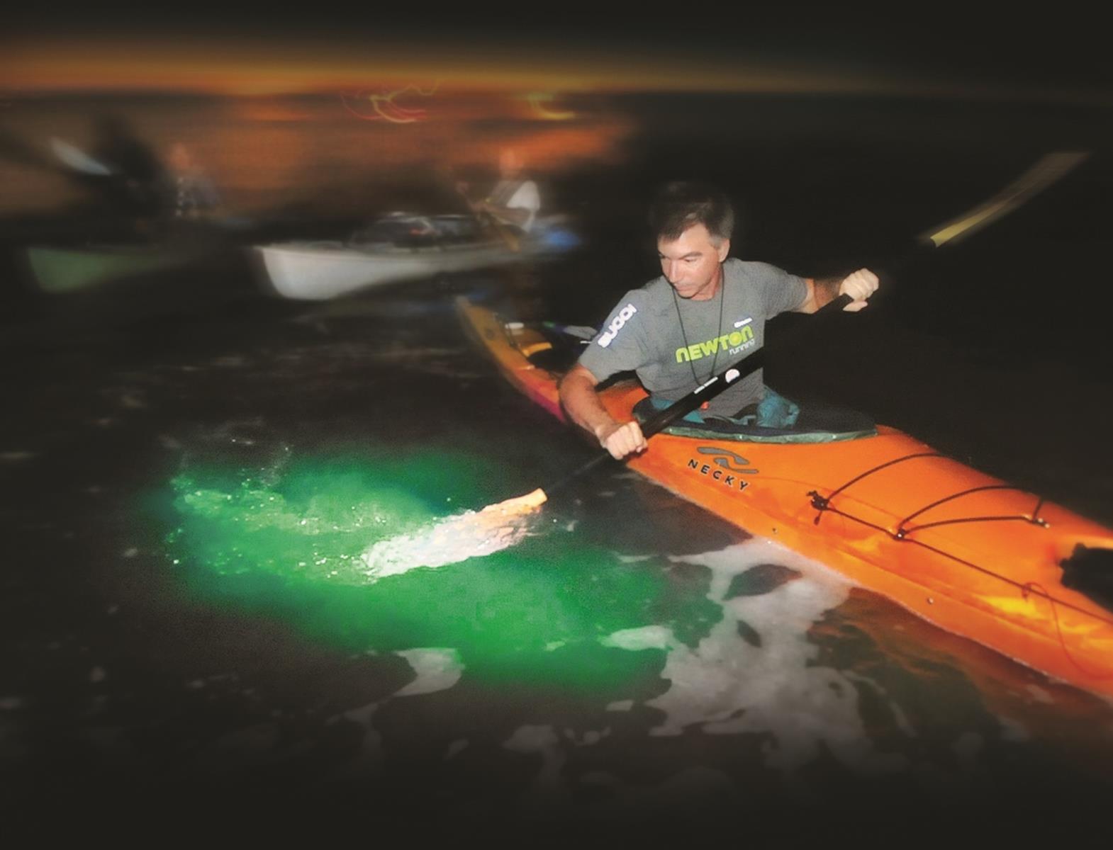 Bioluminescent Cruise resized for web