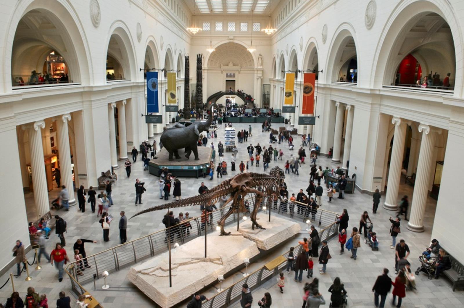 Field Museum- resized for web