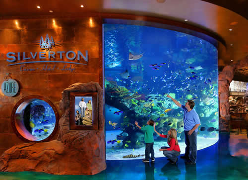 silverton-aquarium