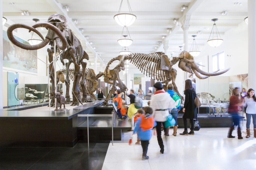 American Museum of Natural History, Upper West Side, Manhattan