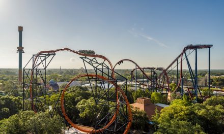 Five Fun Theme Parks in the Southeast That Aren’t Disney