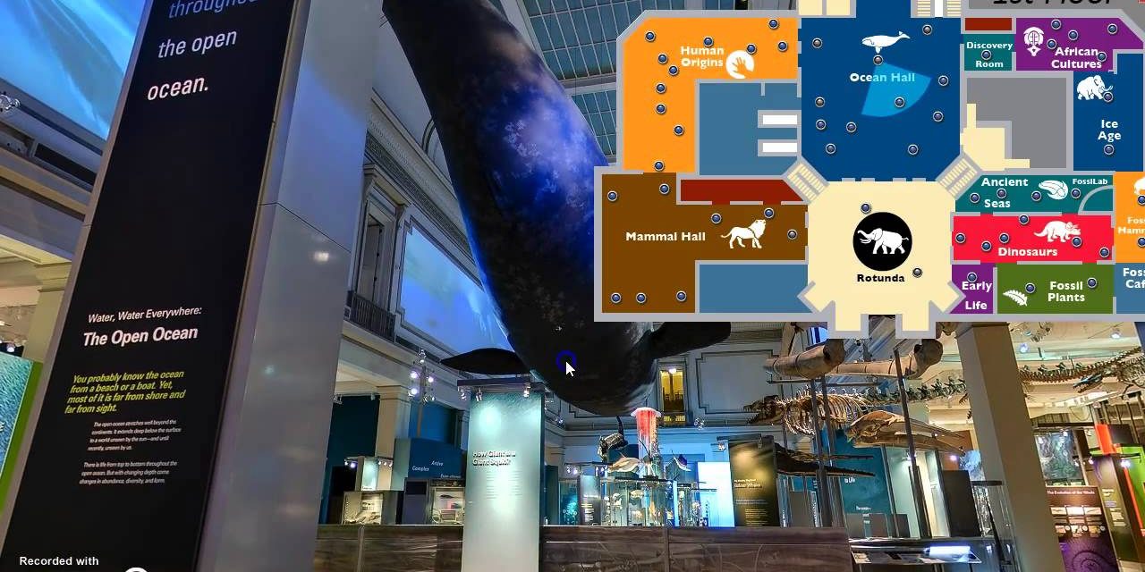 Embark on a Journey in Your Living Room with These Virtual Field Trips