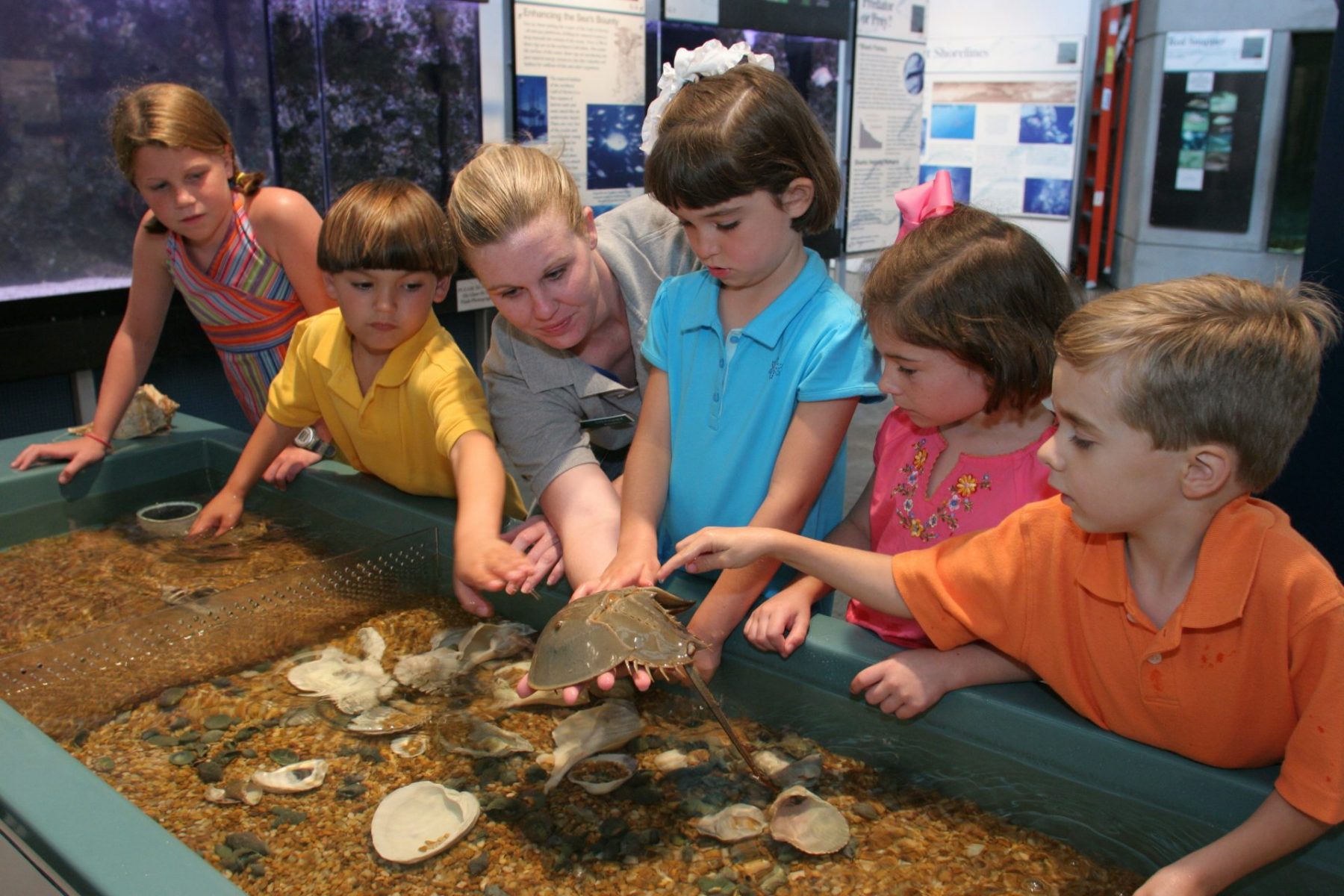 Explore Marine Biology in the Southeast with These Aquariums