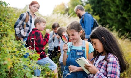 How To Plan for Future Field Trips