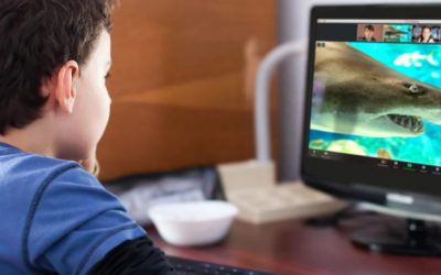 Embark on a Virtual STEM Experience with the Southwestern Institutions