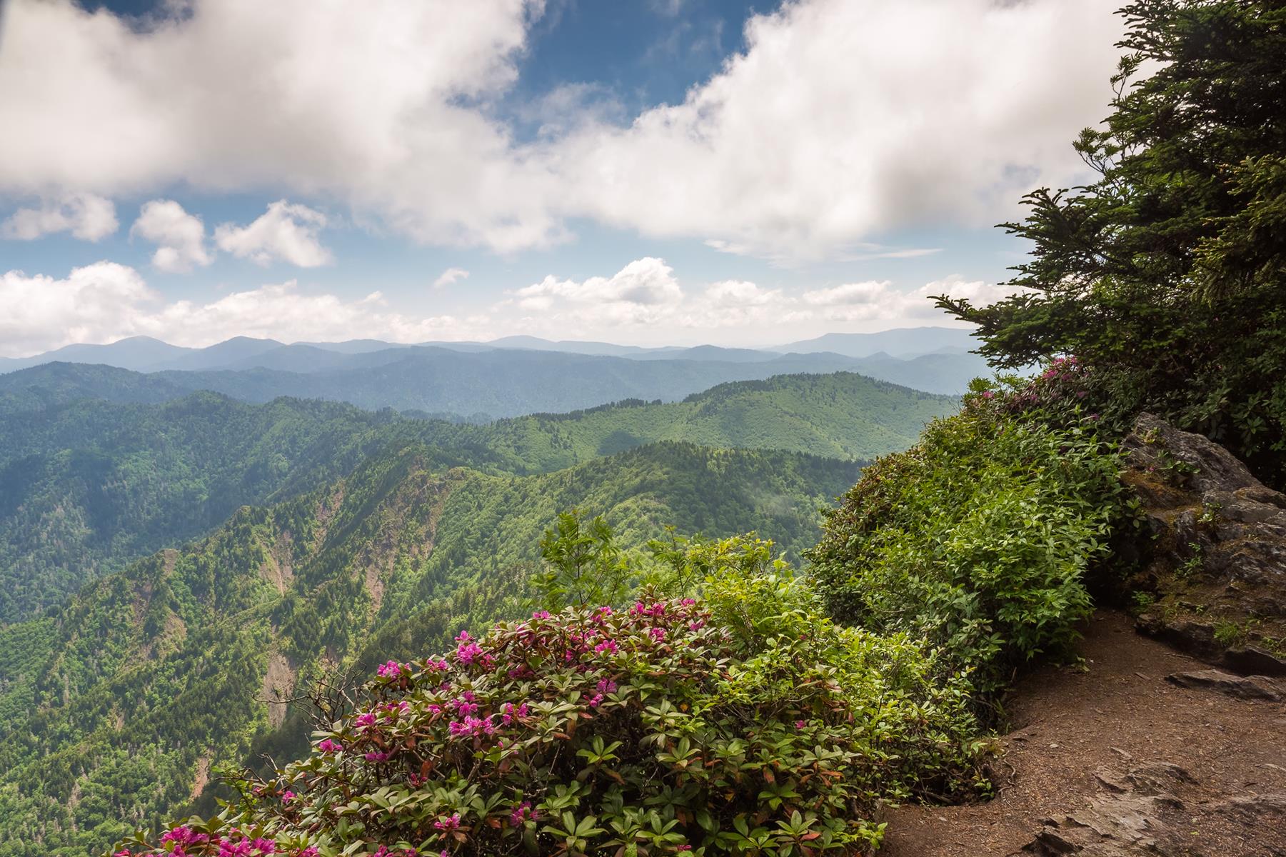 6 MustSee National Parks in the Southeastern United States for Students