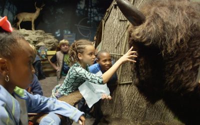 Midwestern State Park Programs STEM Students Will Love