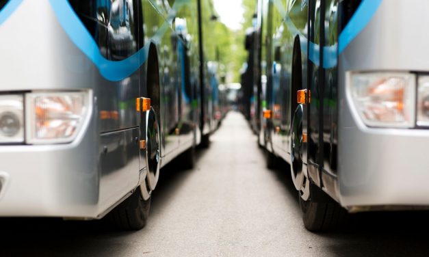 Best Reasons To Use Charter Buses for School Field Trips