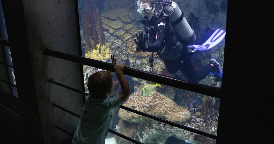 The National Aquarium in Baltimore field trip