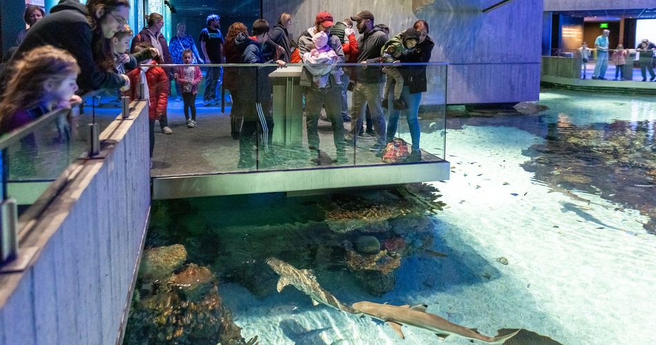 National Aquarium in Baltimore field trip