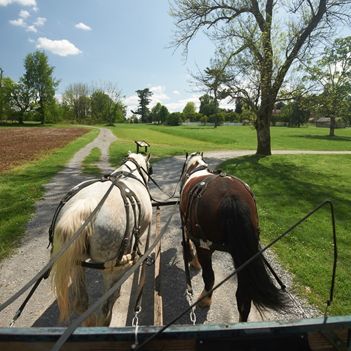 Andrew Jacksons The Hermitage in Tennessee The Hermitage Enslaved A Wagon Tour Photo credit Andrew Jacksons The Hermitage Facebook page 